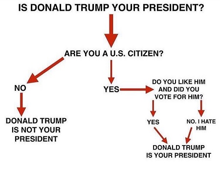 Trump - presidential flow chart.jpg